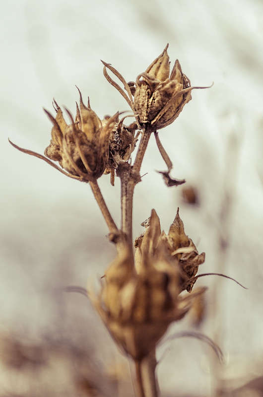 ... ����� ������ ���������� �� PhotoGeek.ru #������ ��� ������� #���������