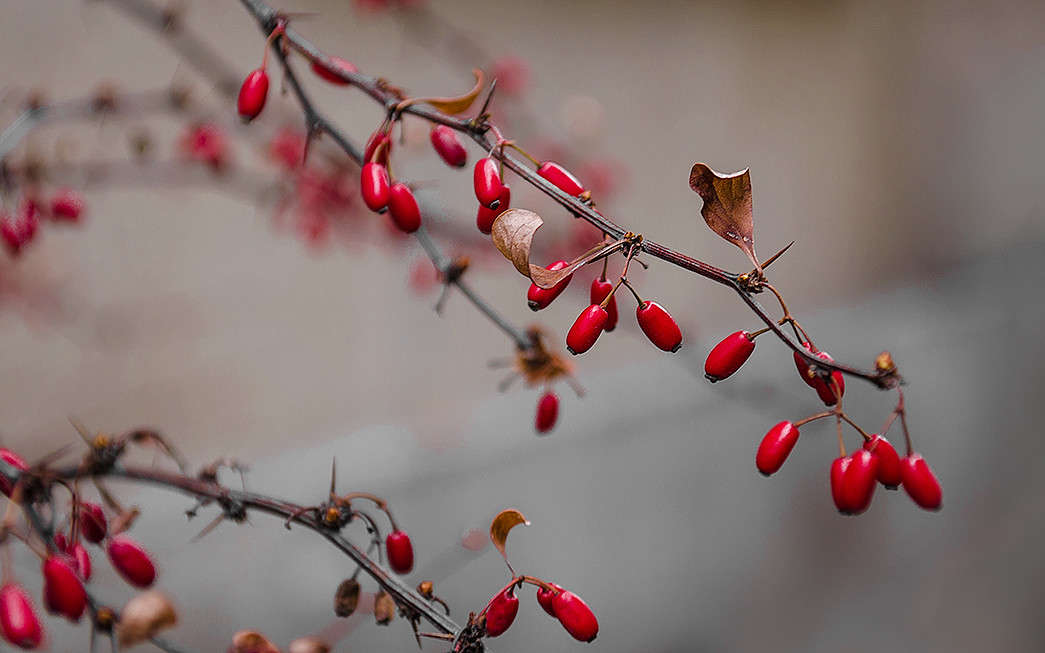 ... ����� ������ ���������� �� PhotoGeek.ru #������ ��� ������� #���������