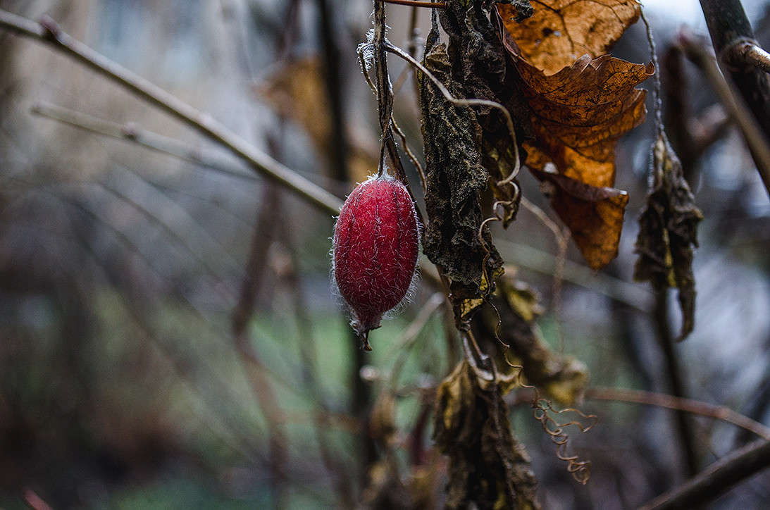 ... ����� ������ ���������� �� PhotoGeek.ru #������ ��� ������� #���������