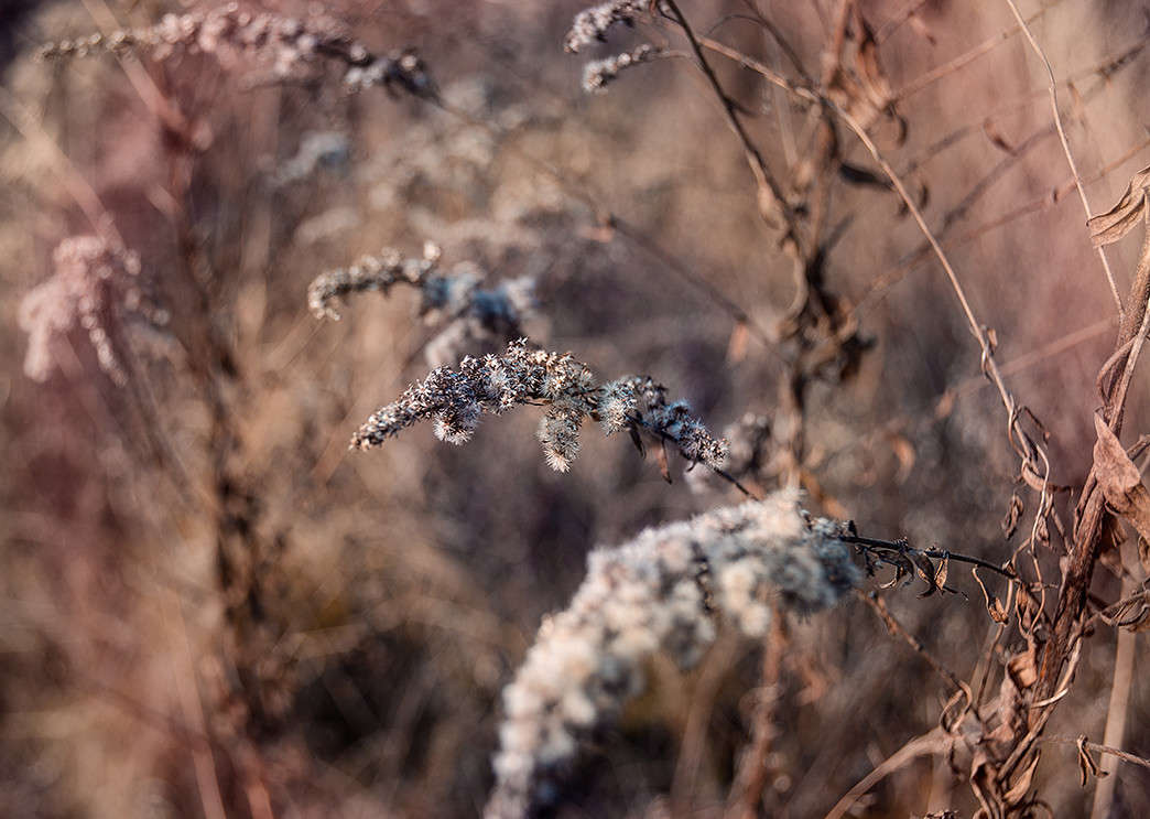 �������� �� �����, �� ������� ���� �������. ����� ������ ���������� �� PhotoGeek.ru #������ ��� ������� #���������