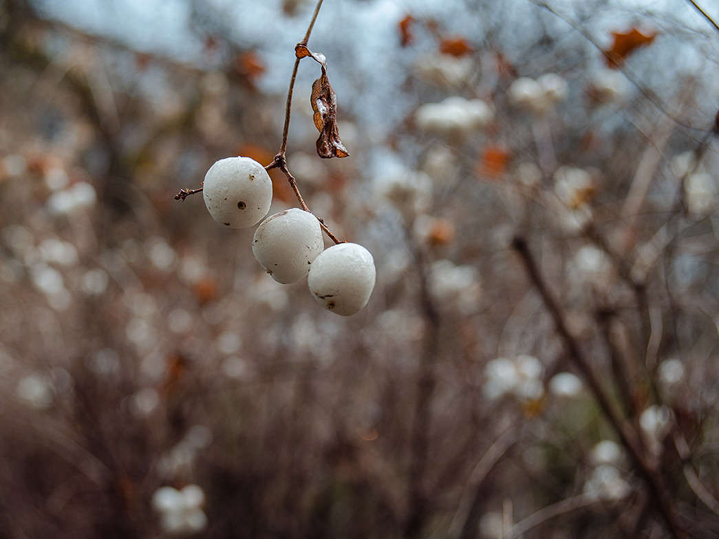 �����..... ����� ������ ���������� �� PhotoGeek.ru #������ ��� ������� #���������