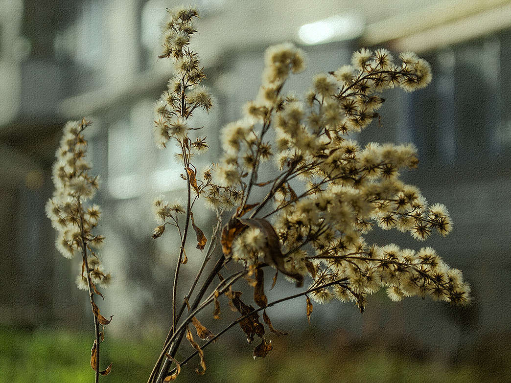 �������� ����� ������ ���������� �� PhotoGeek.ru #������ ��� ������� #���������