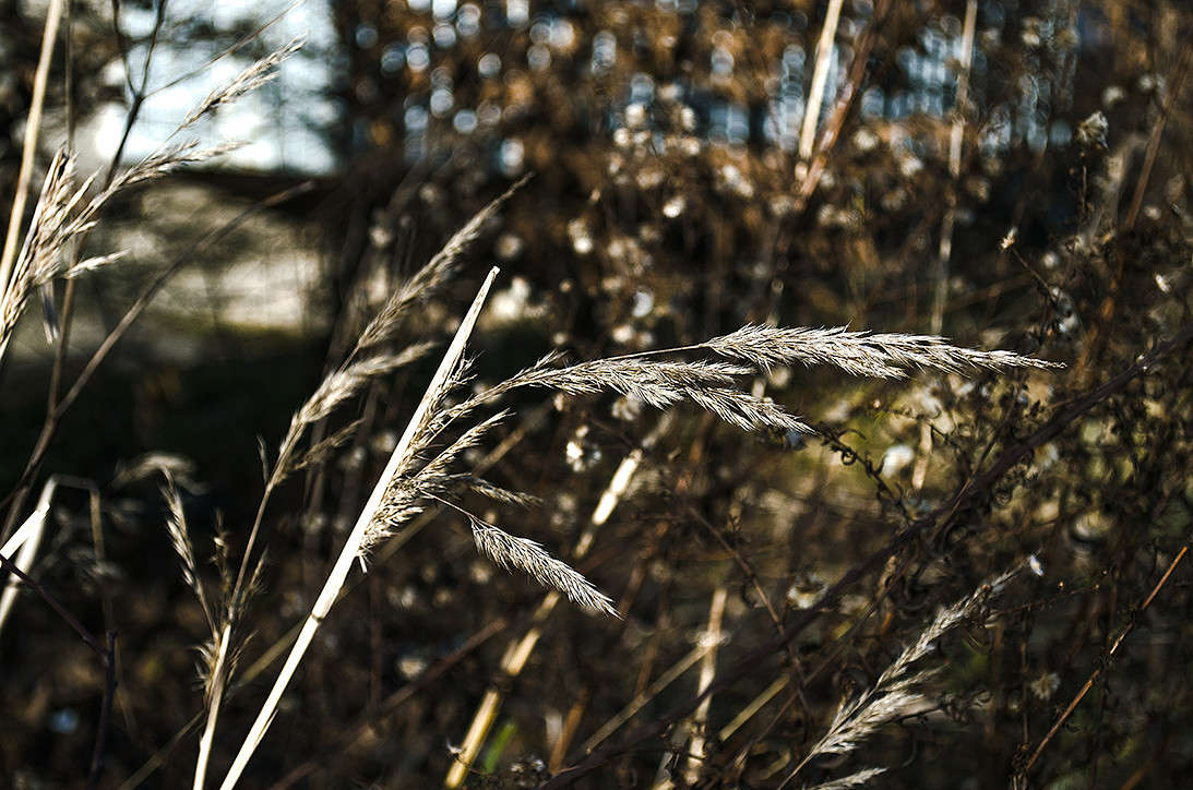 ... ����� ������ ���������� �� PhotoGeek.ru #������ ��� ������� #���������