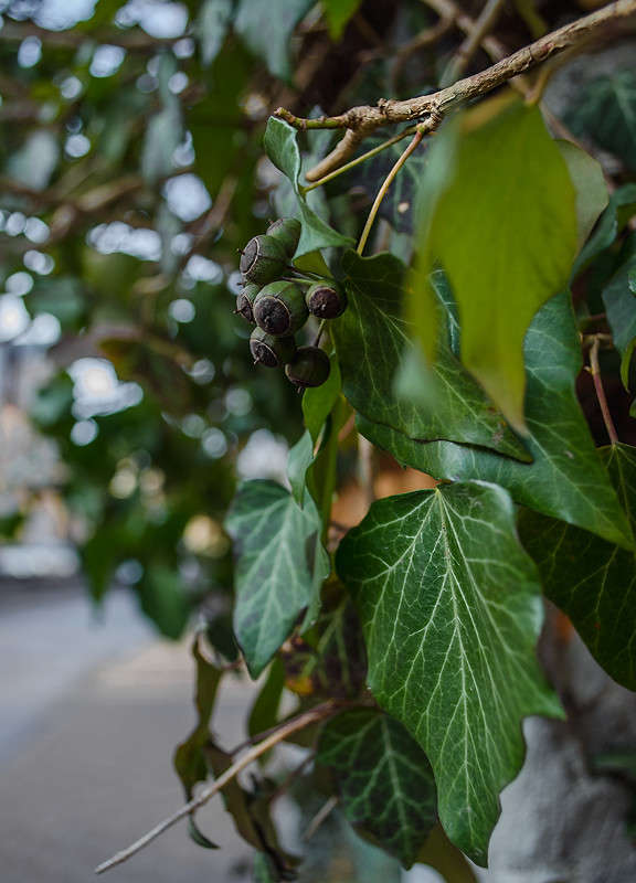 ... ����� ������ ���������� �� PhotoGeek.ru #������ ��� ������� #���������