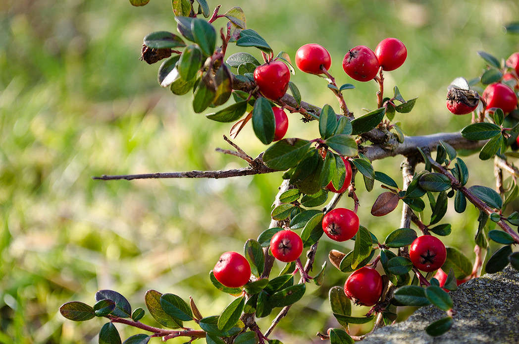 ... ����� ������ ���������� �� PhotoGeek.ru #������ ��� ������� #���������