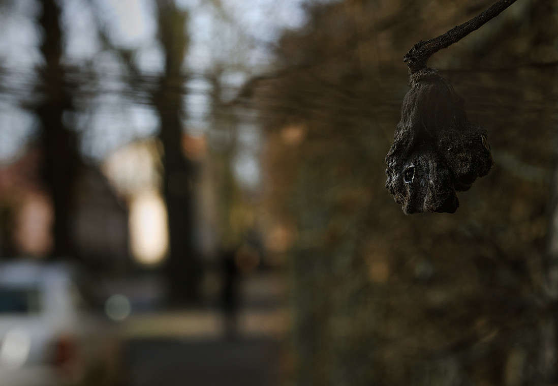 ������� ������ �������� ����� ������ ���������� �� PhotoGeek.ru #������ ��� ������� #���������