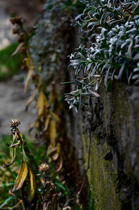 ������� ������ �������� 1 ����� ������ ���������� �� PhotoGeek.ru #������ ��� ������� #���������