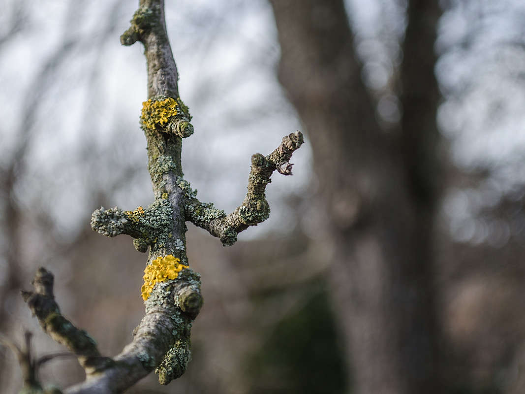 ������� ������ �������� 2 ����� ������ ���������� �� PhotoGeek.ru #������ ��� ������� #���������