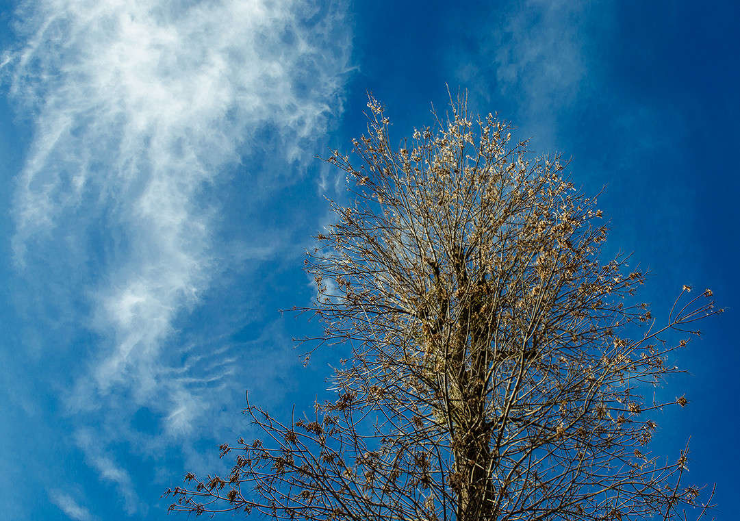 ���� ����� ������ ���������� �� PhotoGeek.ru #������ ��� ������� #���������