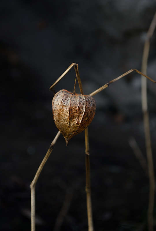 ������ ����� ������ ���������� �� PhotoGeek.ru #������ ��� ������� #���������