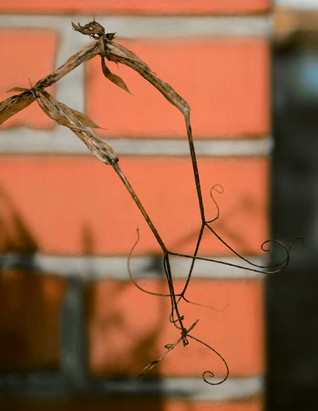 ����� ����� ������ ���������� �� PhotoGeek.ru #������ ��� ������� #���������