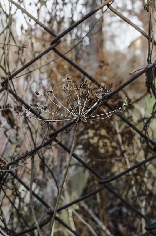 ������� ����� ������ ���������� �� PhotoGeek.ru #������ ��� ������� #���������