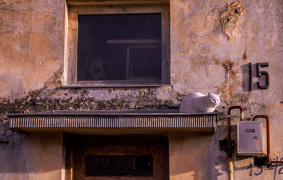 ��, �����........ ����� ������ ���������� �� PhotoGeek.ru #�������� ���