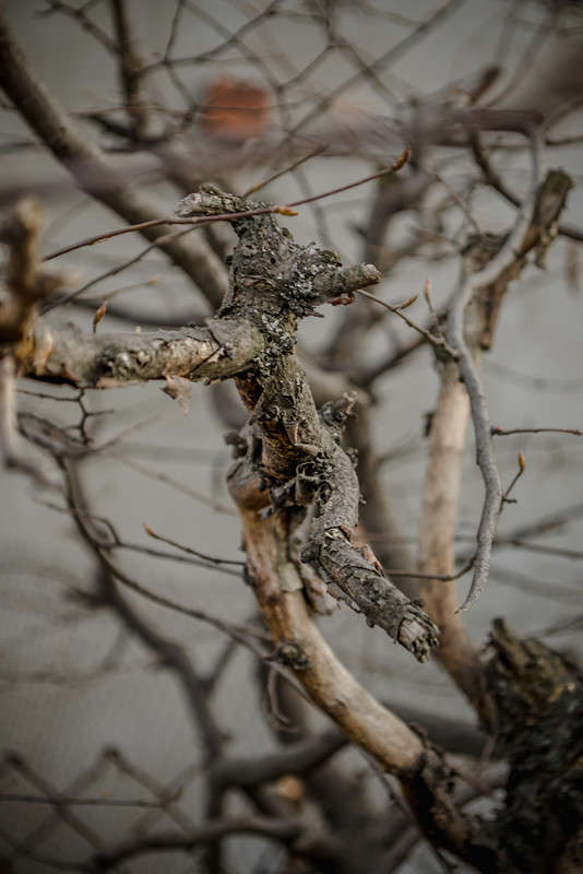 ������� ����� ������ ���������� �� PhotoGeek.ru #������ ��� ������� #���������