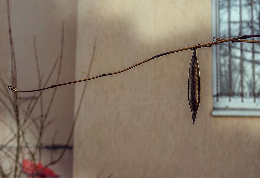 ������ � ����� � �� ������ ����� ������ ���������� �� PhotoGeek.ru #������ ��� ������� #���������