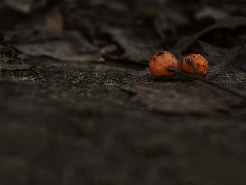 ����� �������...... ����� ������ ���������� �� PhotoGeek.ru #������ ��� ������� #���������