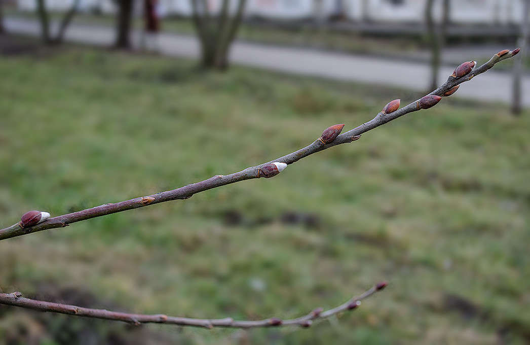 ������. �����. ����� ������ ���������� �� PhotoGeek.ru #������ ��� ������� #���������