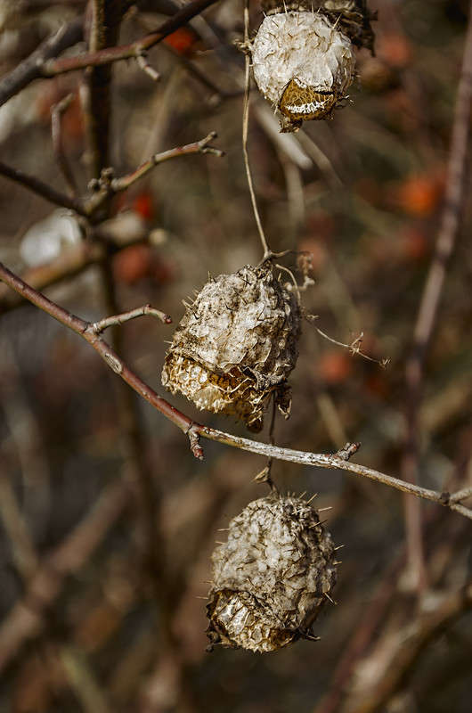 ������ ������ ����� ������ ���������� �� PhotoGeek.ru #������ ��� ������� #���������