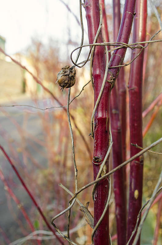 ������� ����� ������ ���������� �� PhotoGeek.ru #������ ��� ������� #���������