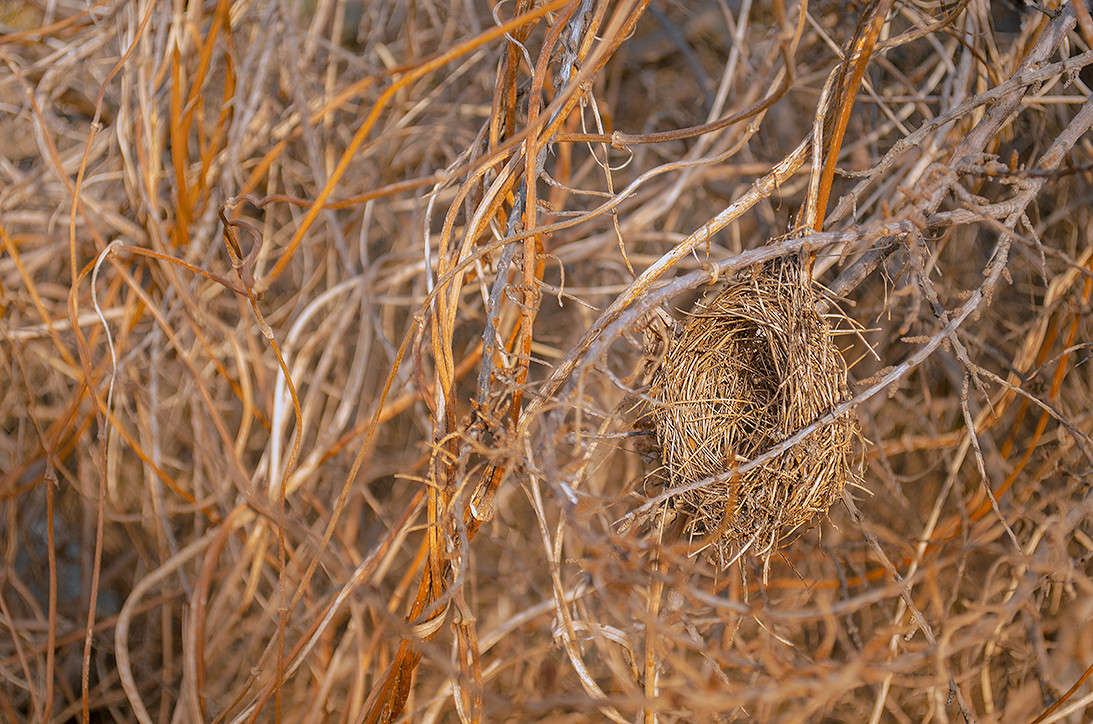 ������� �� �����...... ����� ������ ���������� �� PhotoGeek.ru #������ ��� ������� #���������