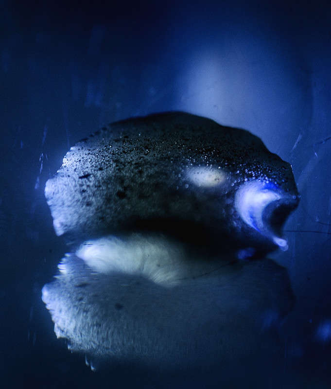 �������� ����� ������ ���������� �� PhotoGeek.ru #�����