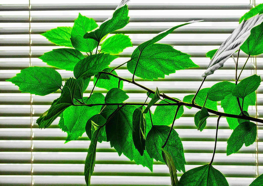 ������� ����� ������ ���������� �� PhotoGeek.ru #������ ��� ������� #���������