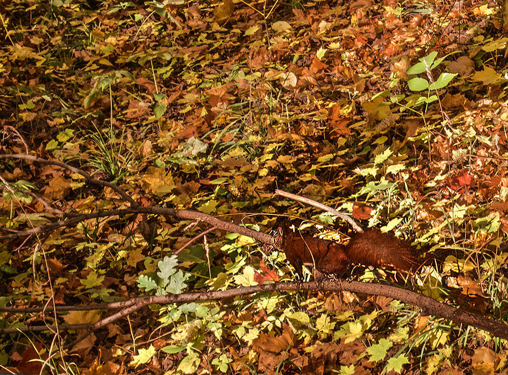 ����� �� �������� ����� ������ ���������� �� PhotoGeek.ru #�������� ��� #����� ��� ��� ���������