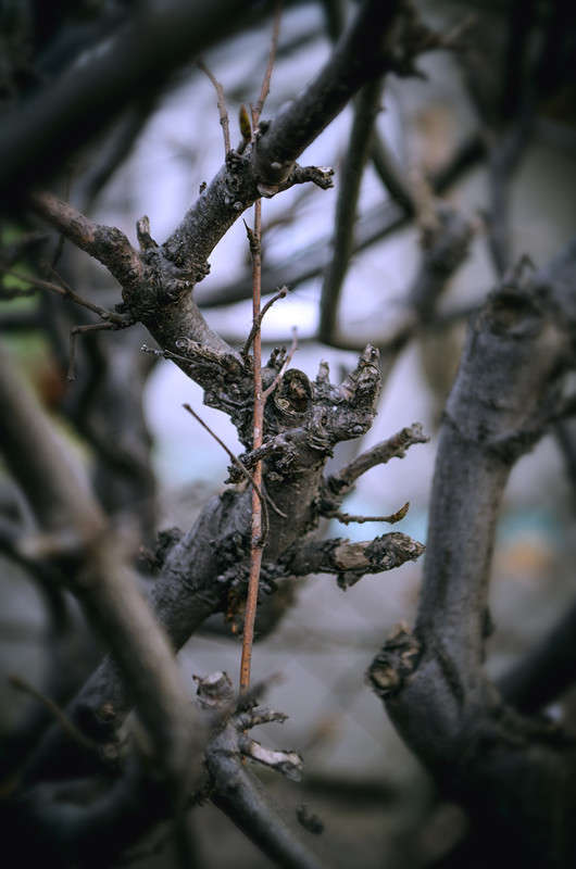 ������ �������� ������� 2 ����� ������ ���������� �� PhotoGeek.ru #������ ��� ������� #���������