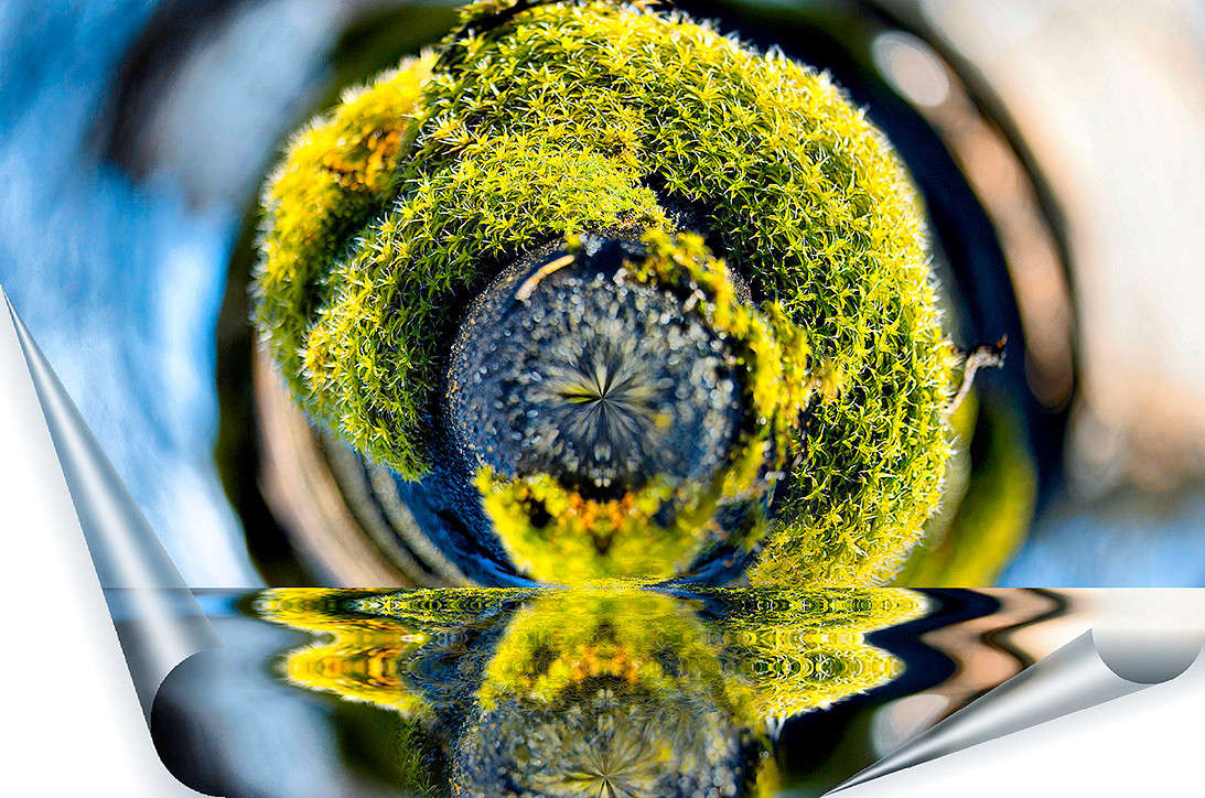 ��������� ���������� ����� ������ ���������� �� PhotoGeek.ru #������ ��� ������� #���������