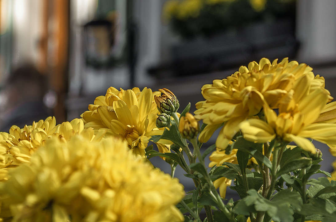 )))))))))) ����� ������ ���������� �� PhotoGeek.ru #������ ��� ������� #���������