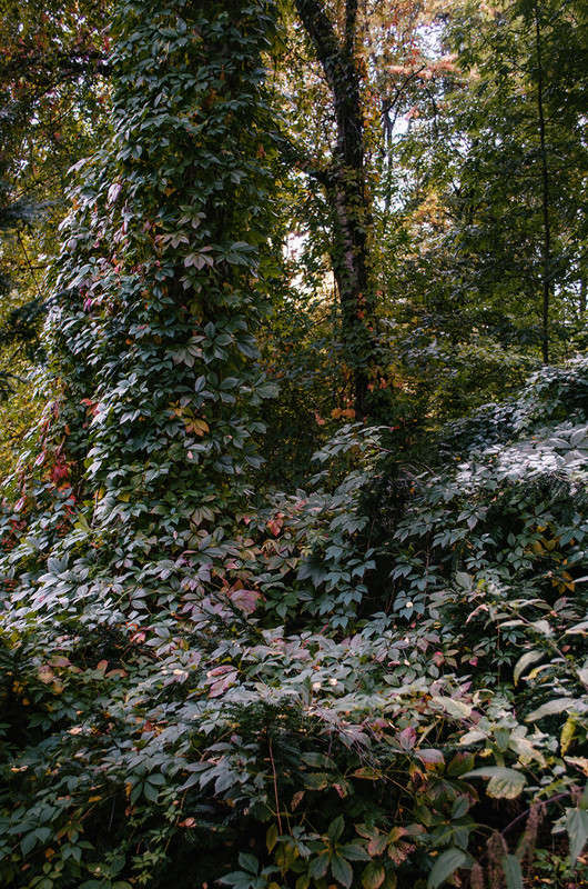 ������ ����� ����� ������ ���������� �� PhotoGeek.ru #������ ��� ������� #���������