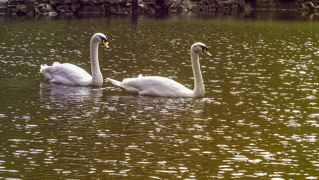 � ����� ������ �� �����..... ����� ������ ���������� �� PhotoGeek.ru #�������� ��� #����� ��� ��� ���������