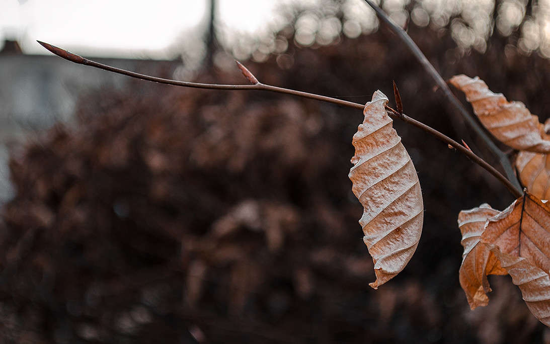 ... ����� ������ ���������� �� PhotoGeek.ru #������ ��� ������� #���������