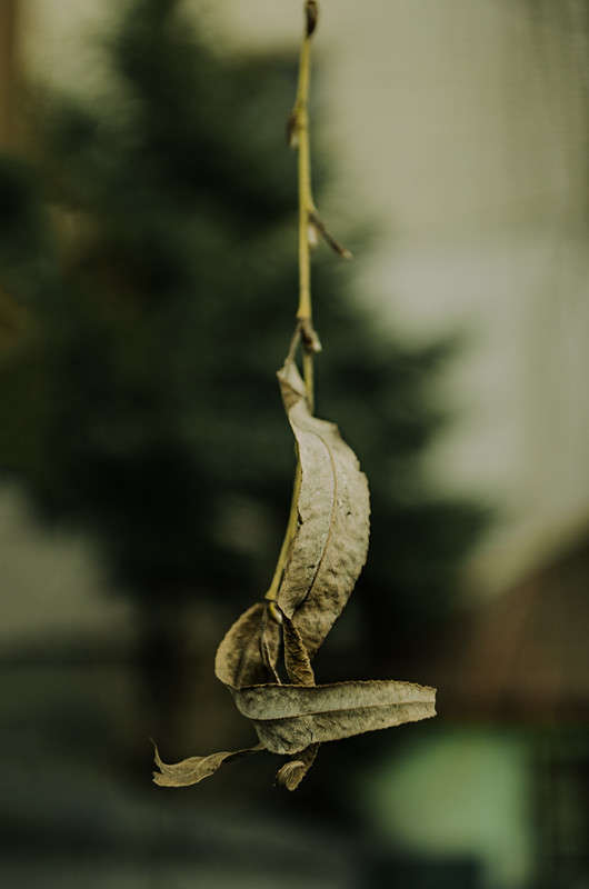 � ��������� ����� ������, ���������...... ����� ������ ���������� �� PhotoGeek.ru #������ ��� ������� #���������