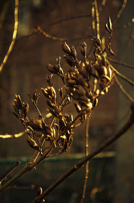 ***** ����� ������ ���������� �� PhotoGeek.ru #������ ��� ������� #���������