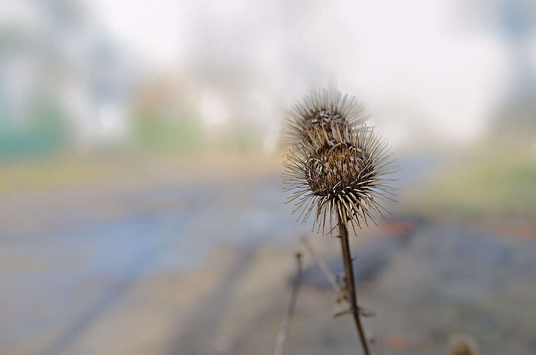 �����..... ����� ������ ���������� �� PhotoGeek.ru #������ ��� ������� #���������