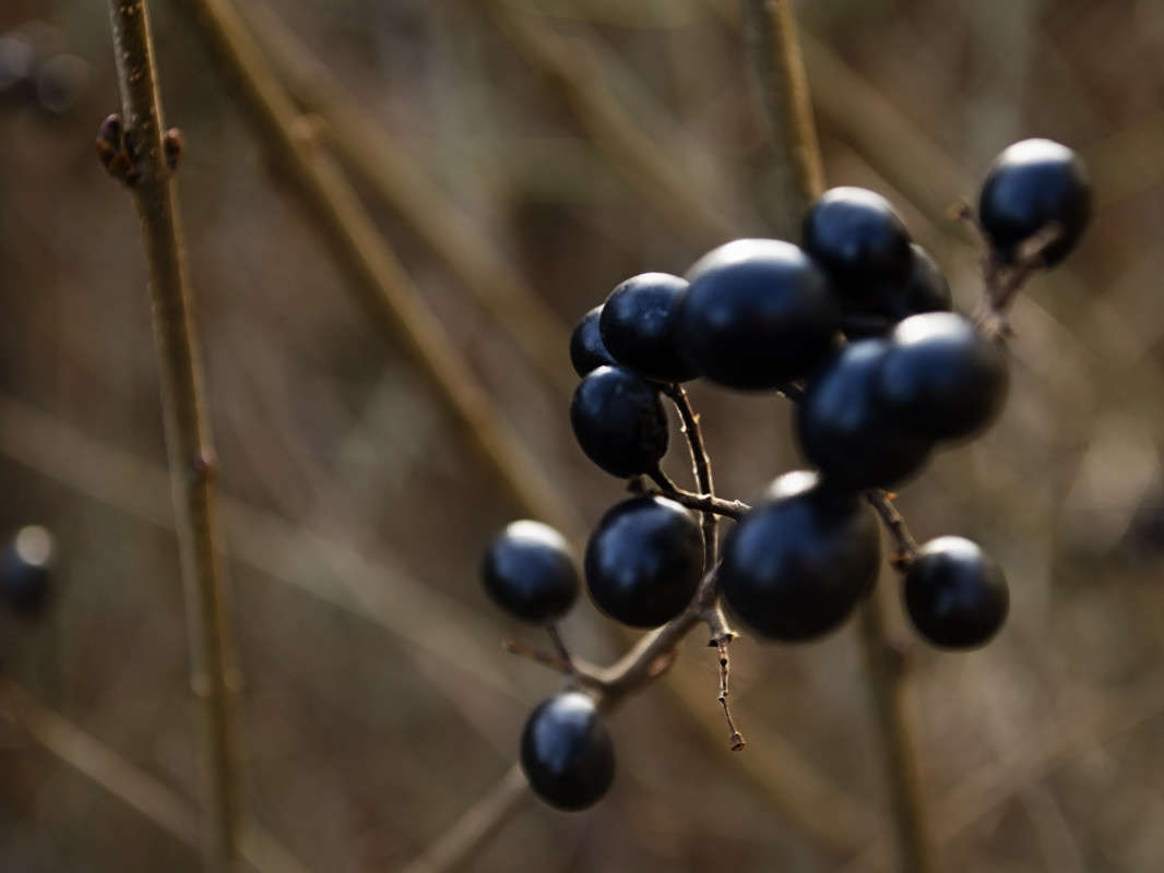 ���������� � ����� �������..... ����� ������ ���������� �� PhotoGeek.ru #������ ��� ������� #���������