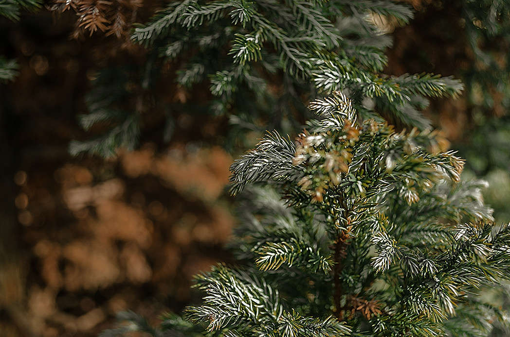 ������� ������ ����� ������ ���������� �� PhotoGeek.ru #������ ��� ������� #���������