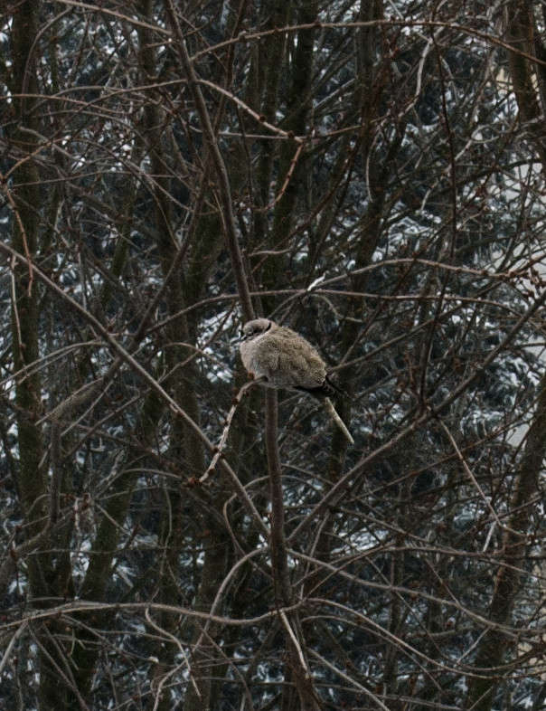 ... ����� ������ ���������� �� PhotoGeek.ru #�������� ��� #����� ��� ��� ���������