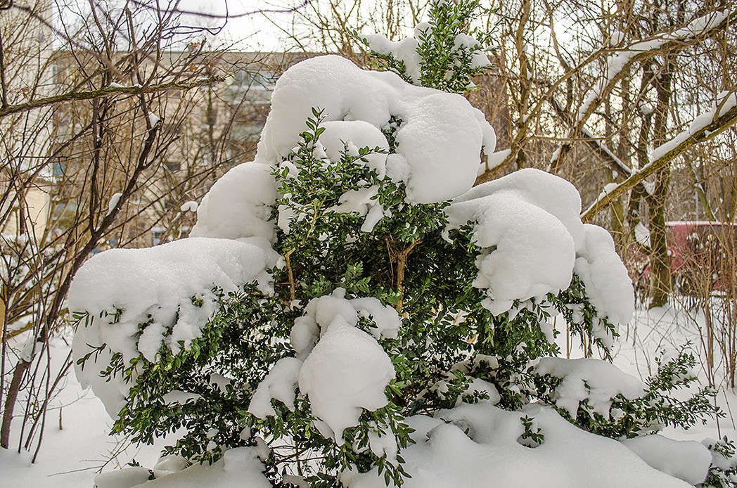 ��� ������..... ����� ������ ���������� �� PhotoGeek.ru #������ ��� ������� #���������