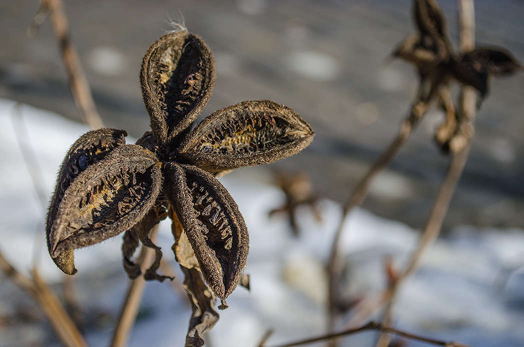 ��������� ������ ����� ������ ���������� �� PhotoGeek.ru #������ ��� ������� #���������