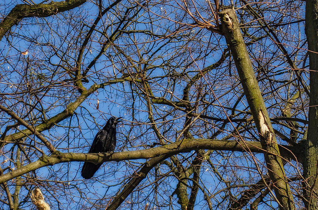 �� ����..... ����� ������ ���������� �� PhotoGeek.ru #�������� ��� #����� ��� ��� ���������