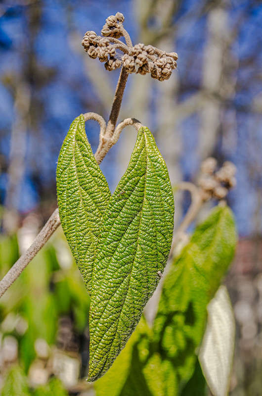 ****** ����� ������ ���������� �� PhotoGeek.ru #������ ��� ������� #���������