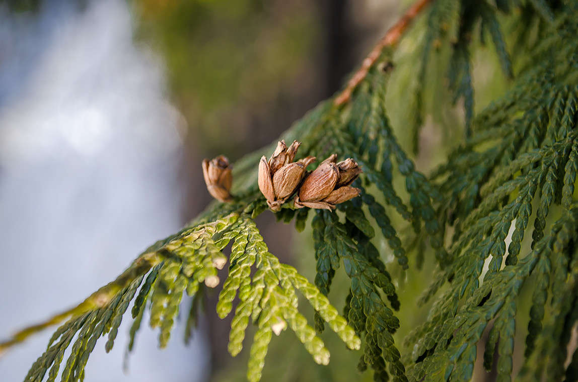 � ��� ���� ����� �� ����� ������ ����� ������ ���������� �� PhotoGeek.ru #������ ��� ������� #���������