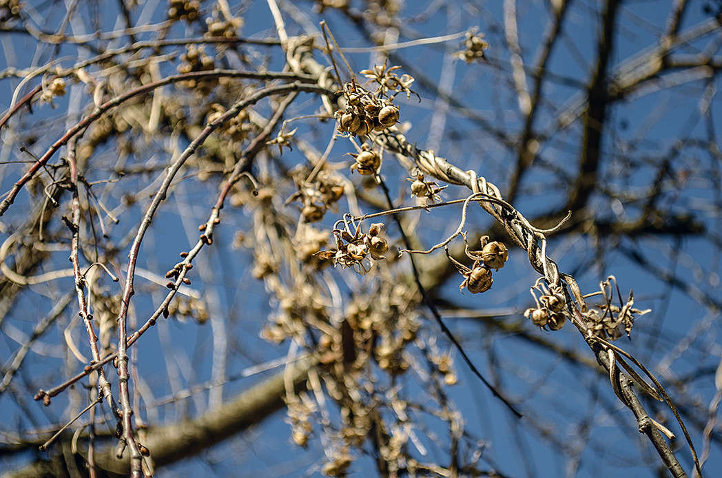 �������� ����� ������ ���������� �� PhotoGeek.ru #������ ��� ������� #���������