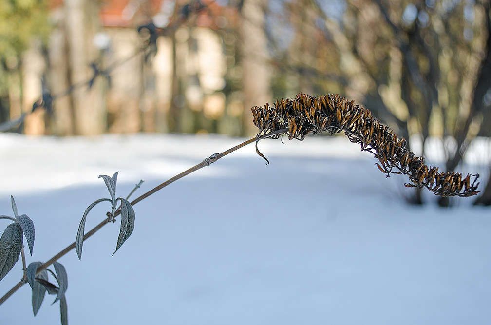 �����.... ����� ������ ���������� �� PhotoGeek.ru #������ ��� ������� #���������