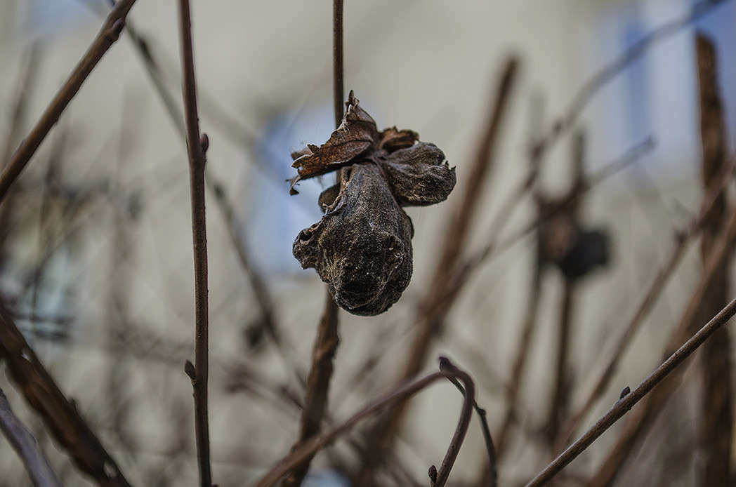 ����.... ����� ������ ���������� �� PhotoGeek.ru #������ ��� ������� #���������