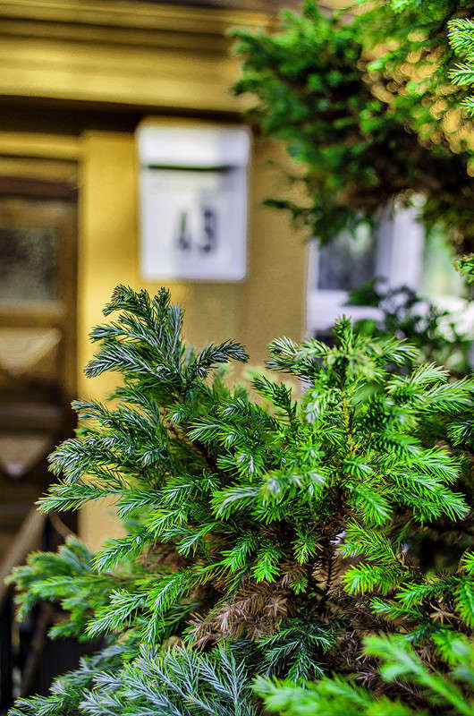 �������� ����� ������ ���������� �� PhotoGeek.ru #������ ��� ������� #���������