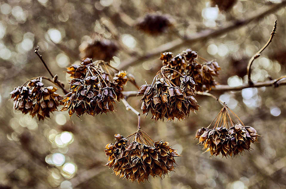 ������� ����� ������ ���������� �� PhotoGeek.ru #������ ��� ������� #���������