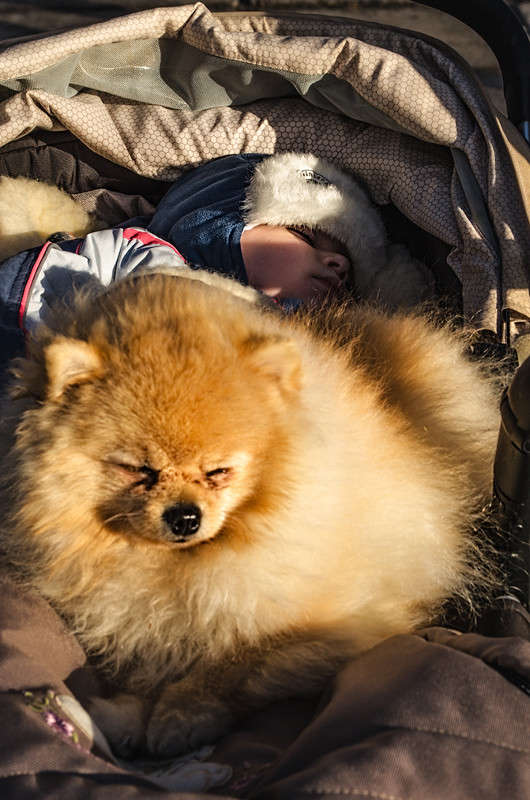 �� �������� ���, � ��� ������ ����� ������ ���������� �� PhotoGeek.ru #�������� ���������� #���������������